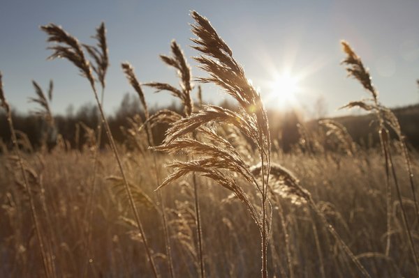 Où trouver les meilleures expériences de pêche au gros en Australie?